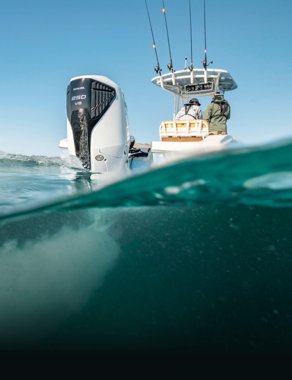 bf250-new-hero-mobile-1600x2080