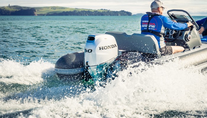 Programmed Fuel Injection (PGM-FI)