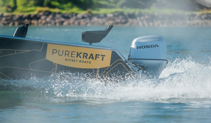 Programmed Fuel Injection (PGM-FI)